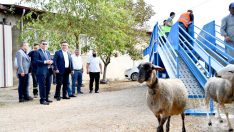 Mobil koyun banyosu çobanların ve koyunların hizmetinde