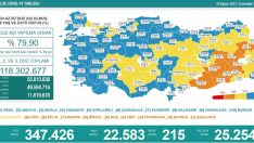 Son 24 saatte korona virüsten 215 kişi hayatını kaybetti